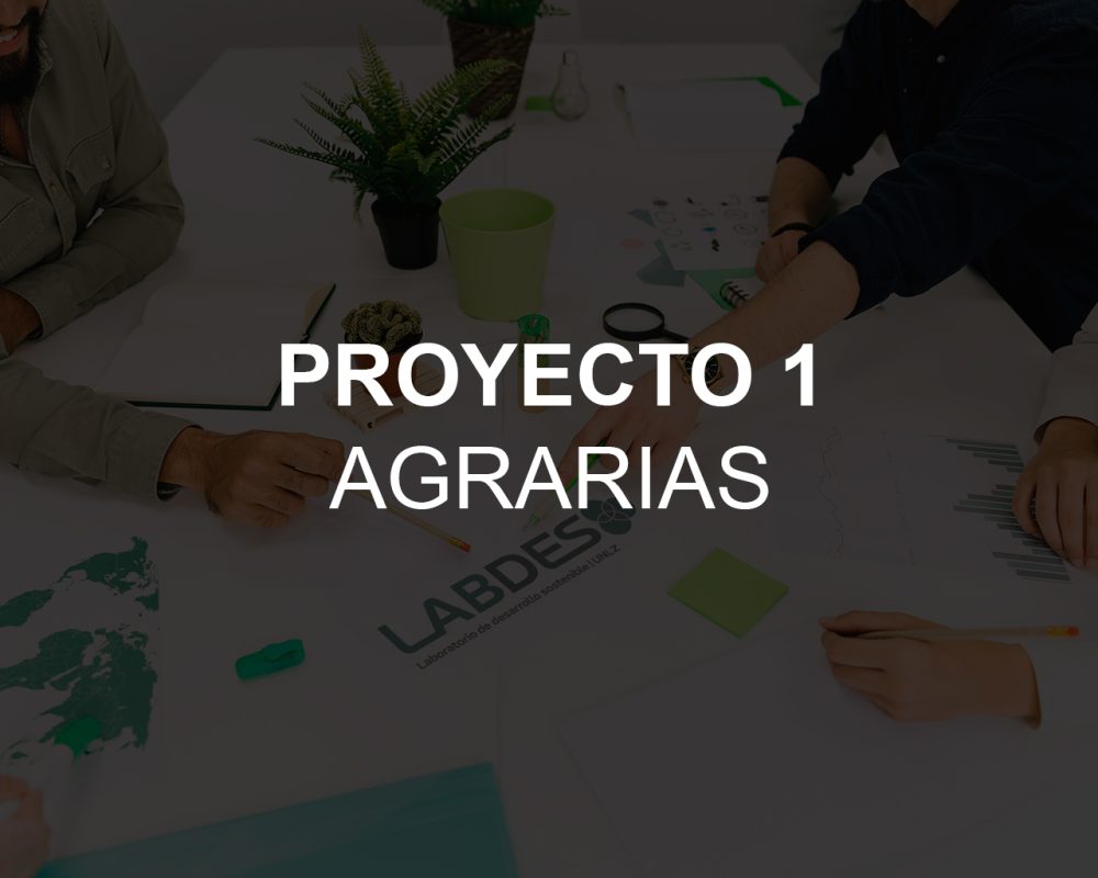 project-item