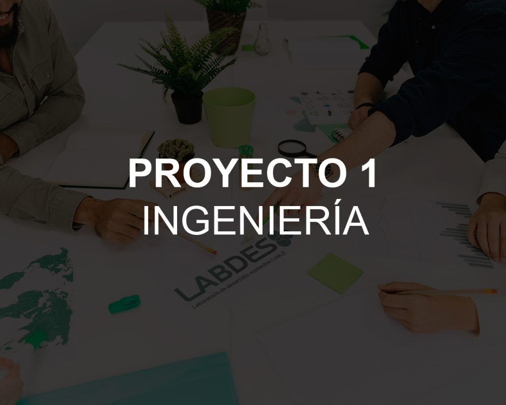 project-item