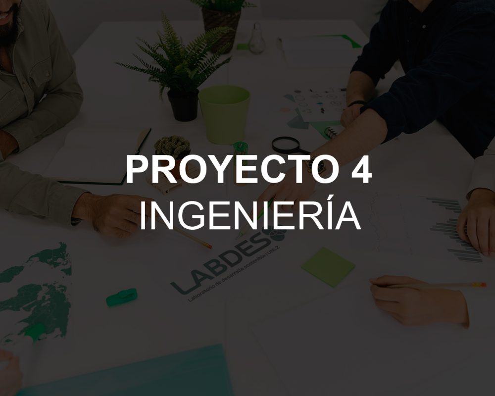 project-item