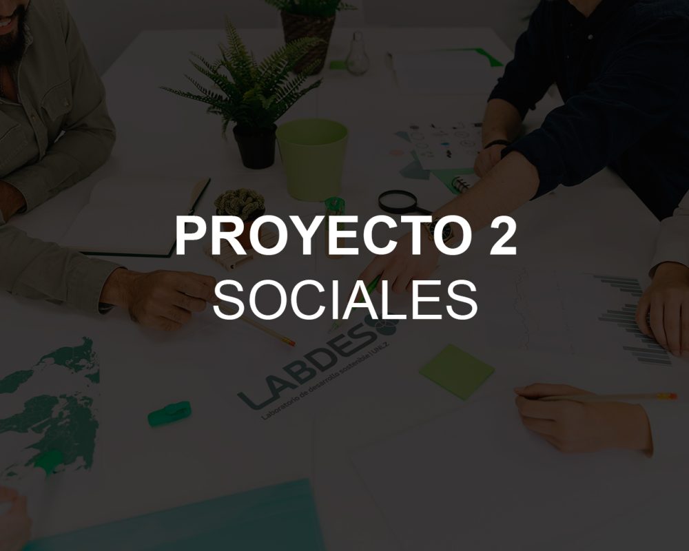 project-item