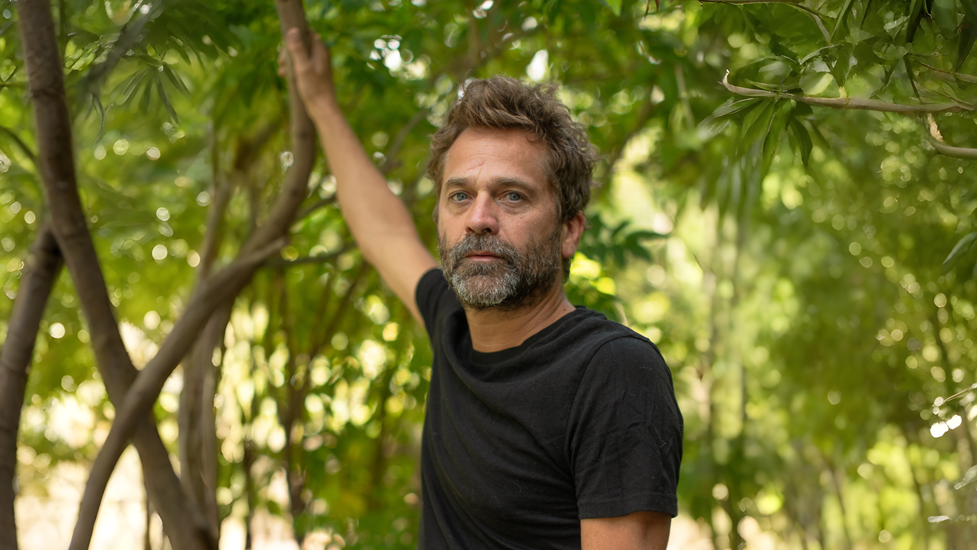 Nico Pauls